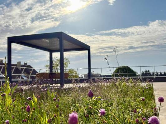 Canicule – Fermeture agence d'Orgeval 26 et 27 juin 2026